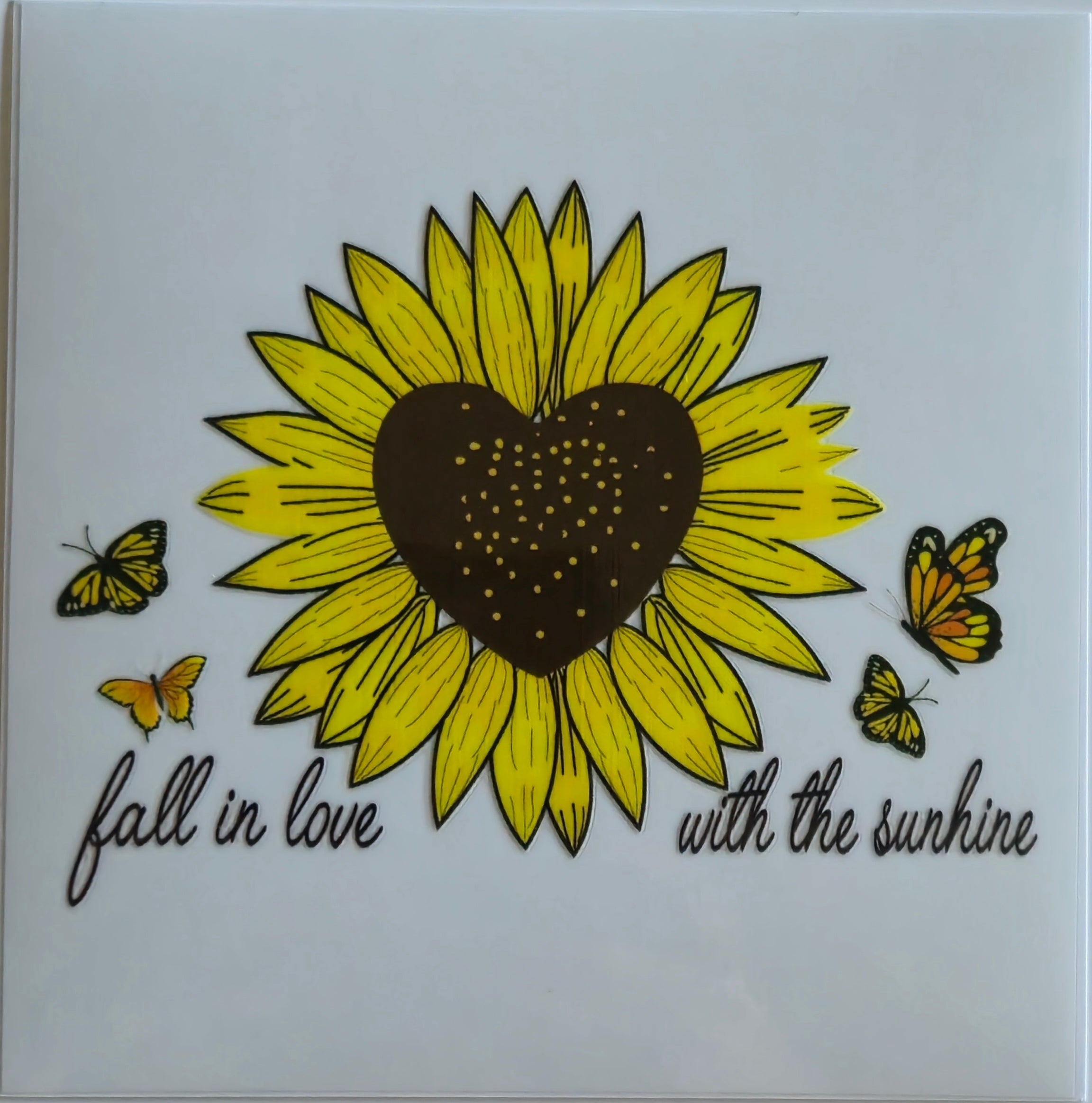 (513) Fall in love with the sunshine