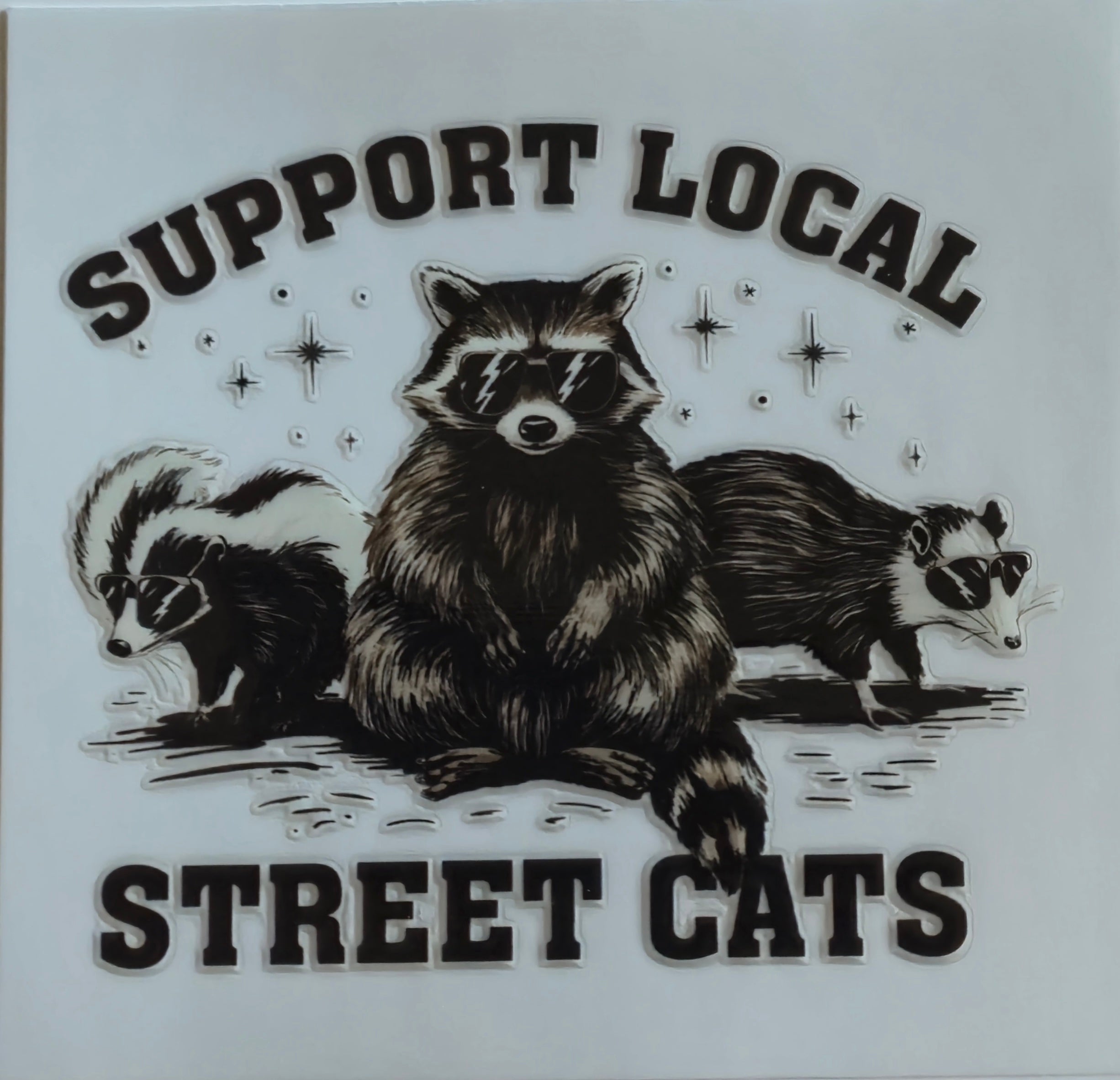 (251) Support Local Street Cats