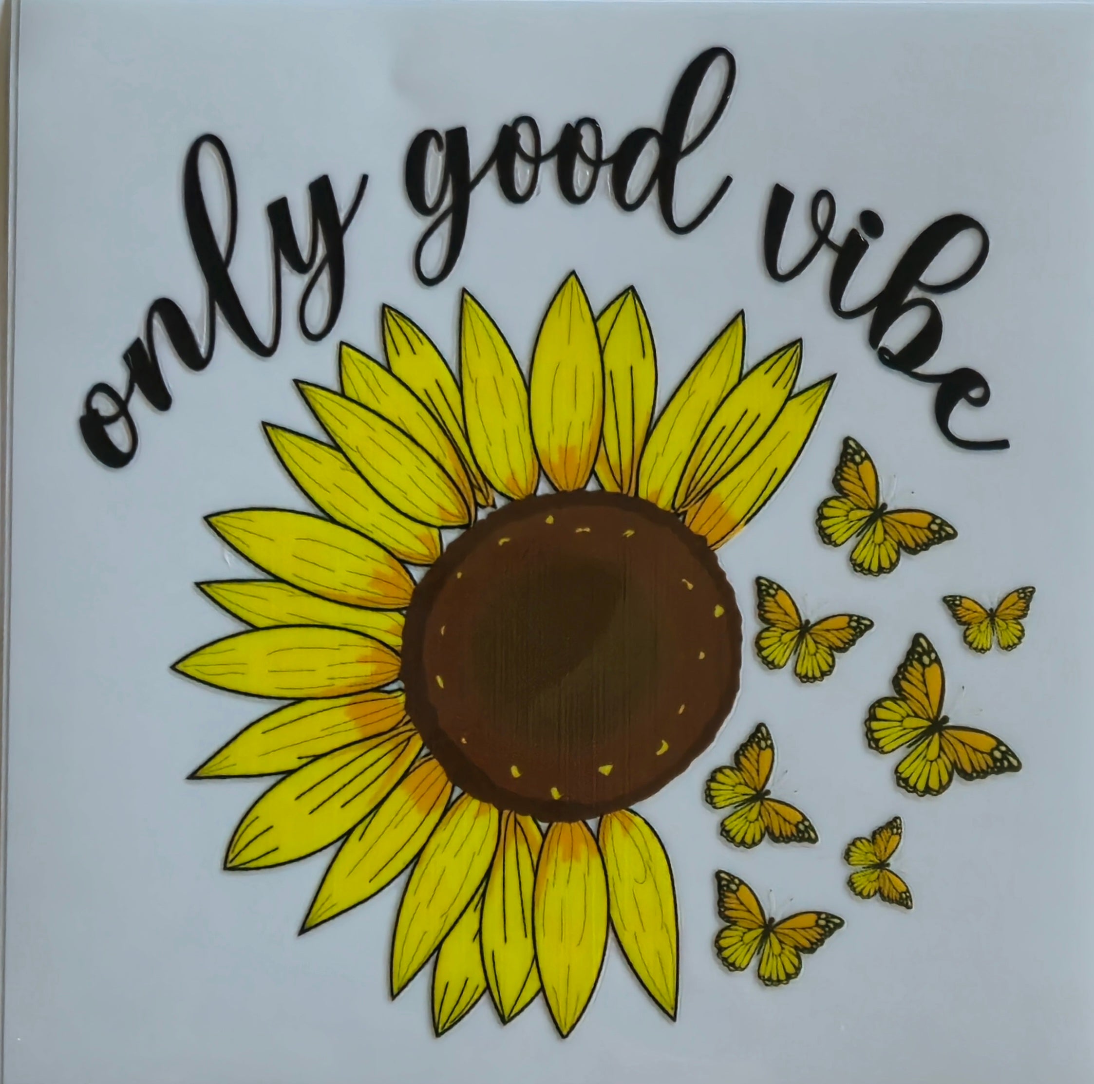 (504) Only good vibes