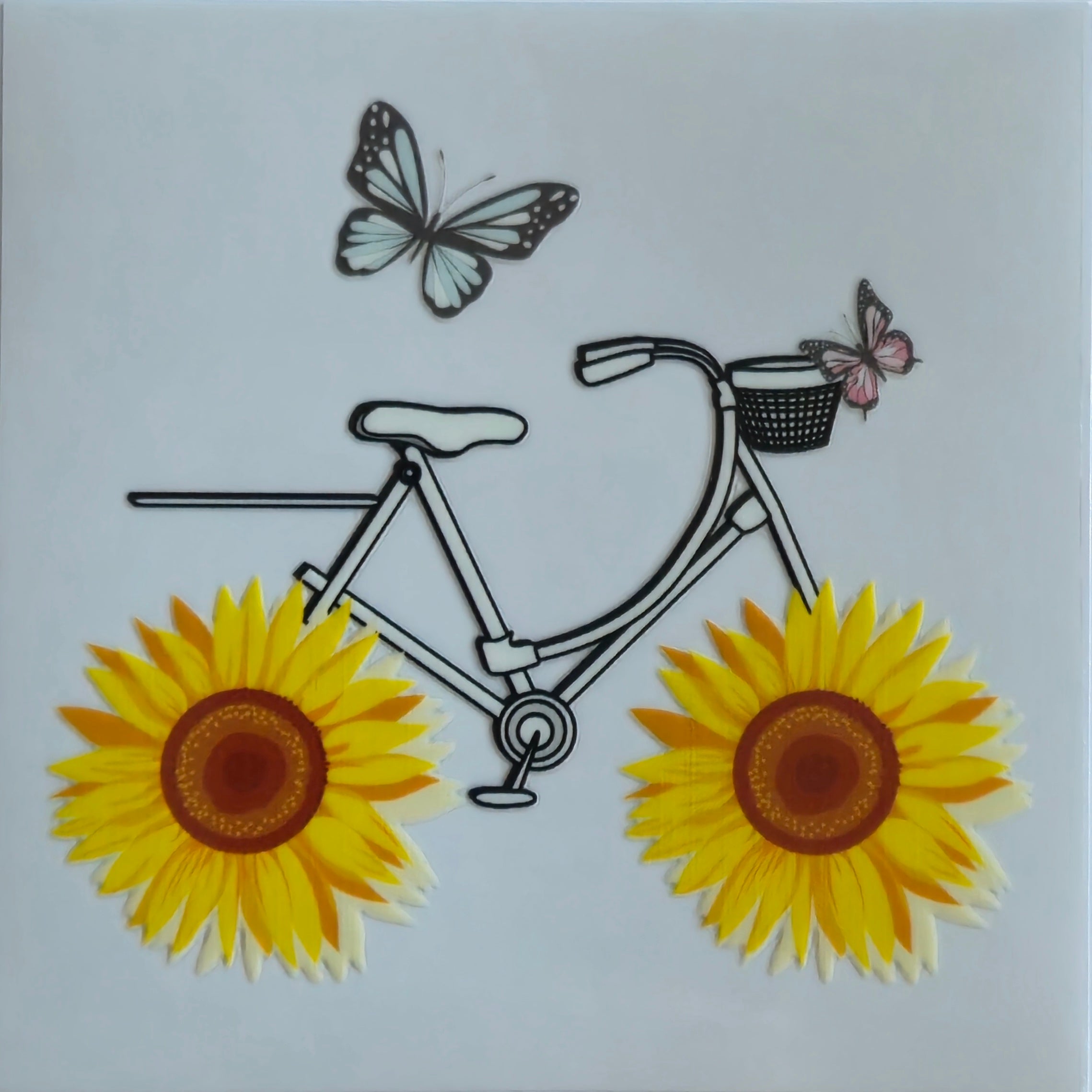 (505) Bicycle
