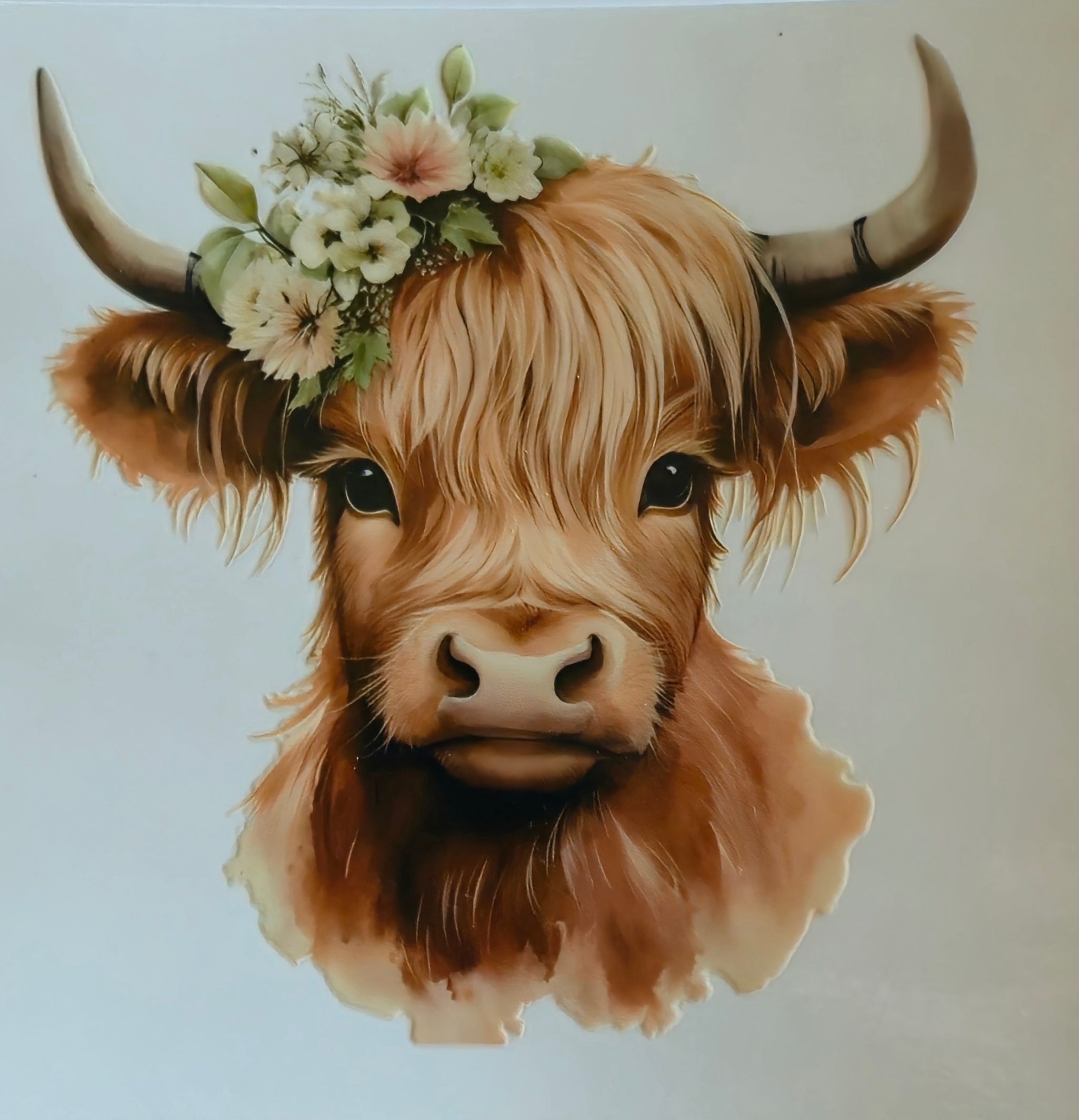 (303) Highland cow with flowers