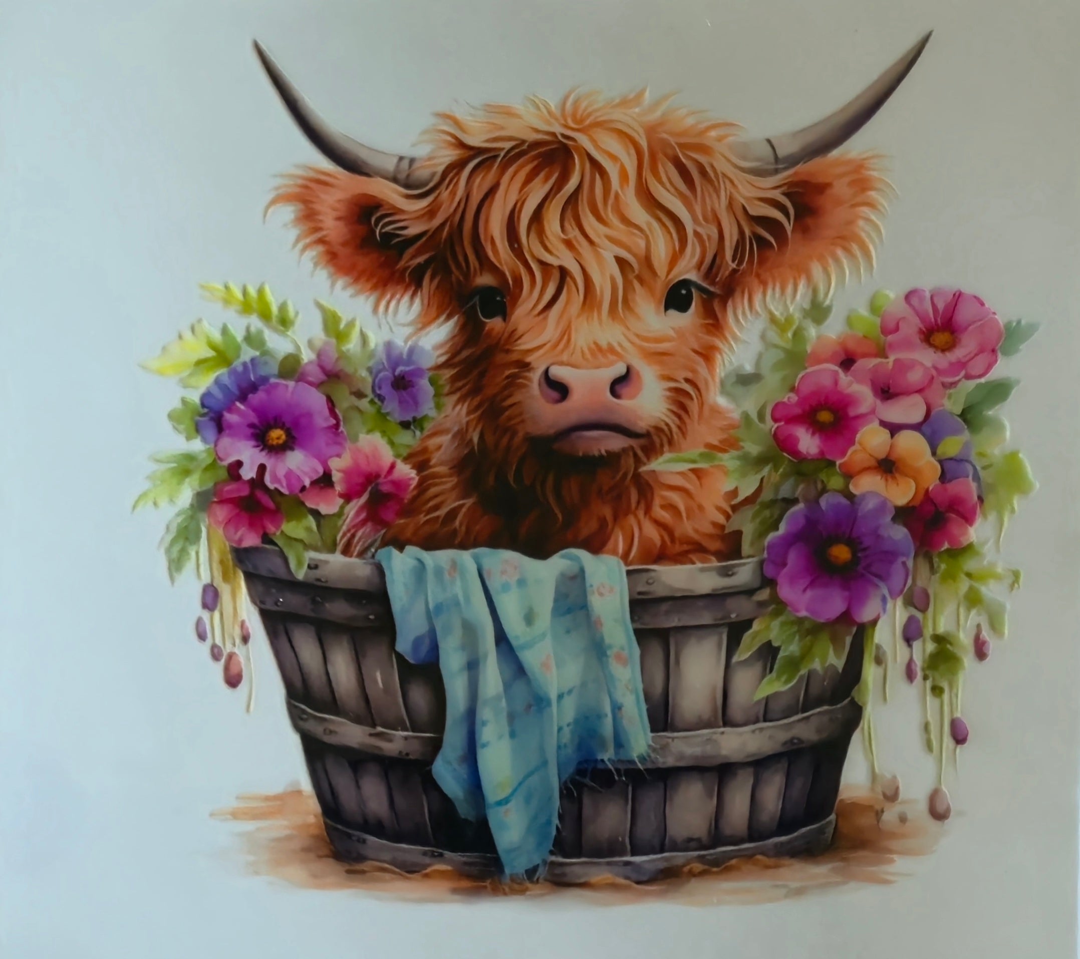 (301) Highland cow in cute bucket
