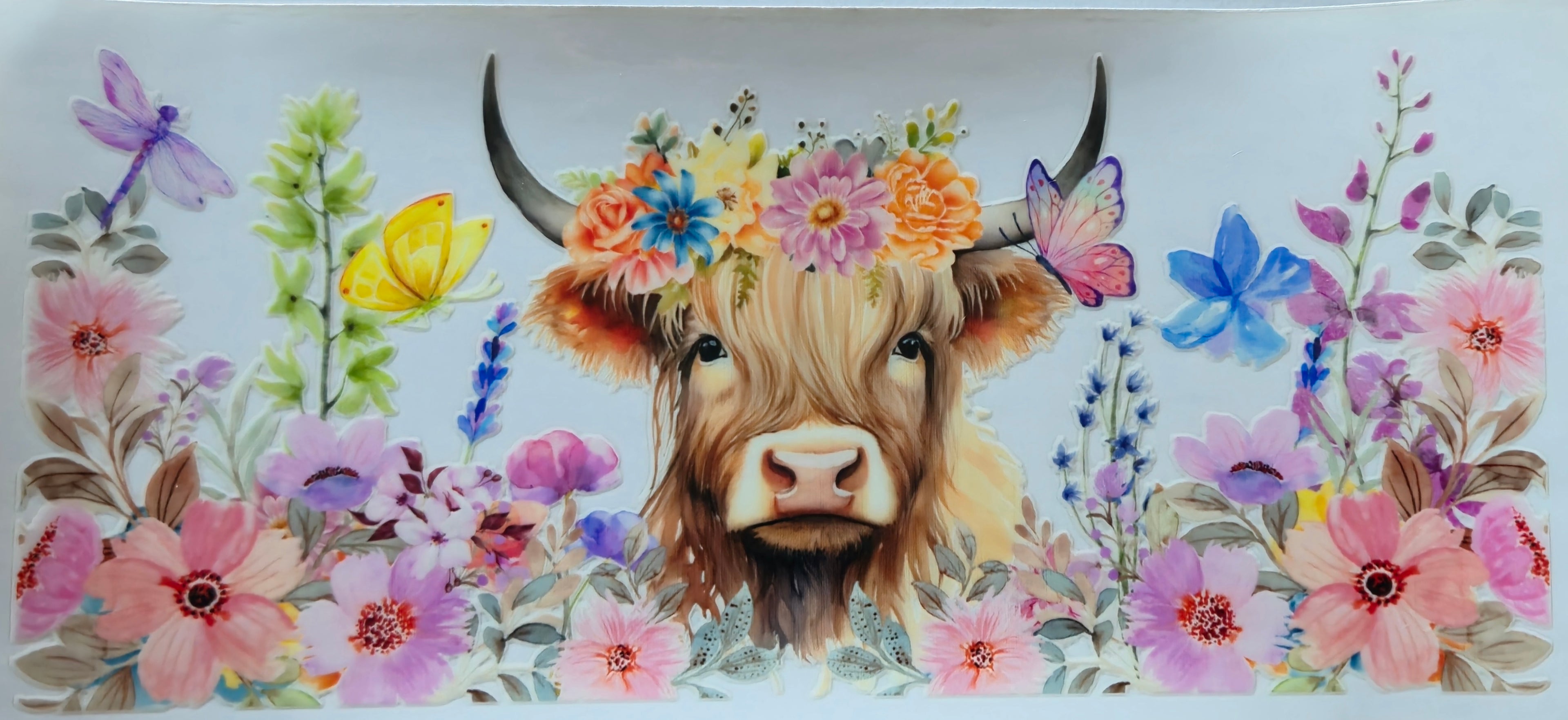 (311) Highland cow with pink flowers