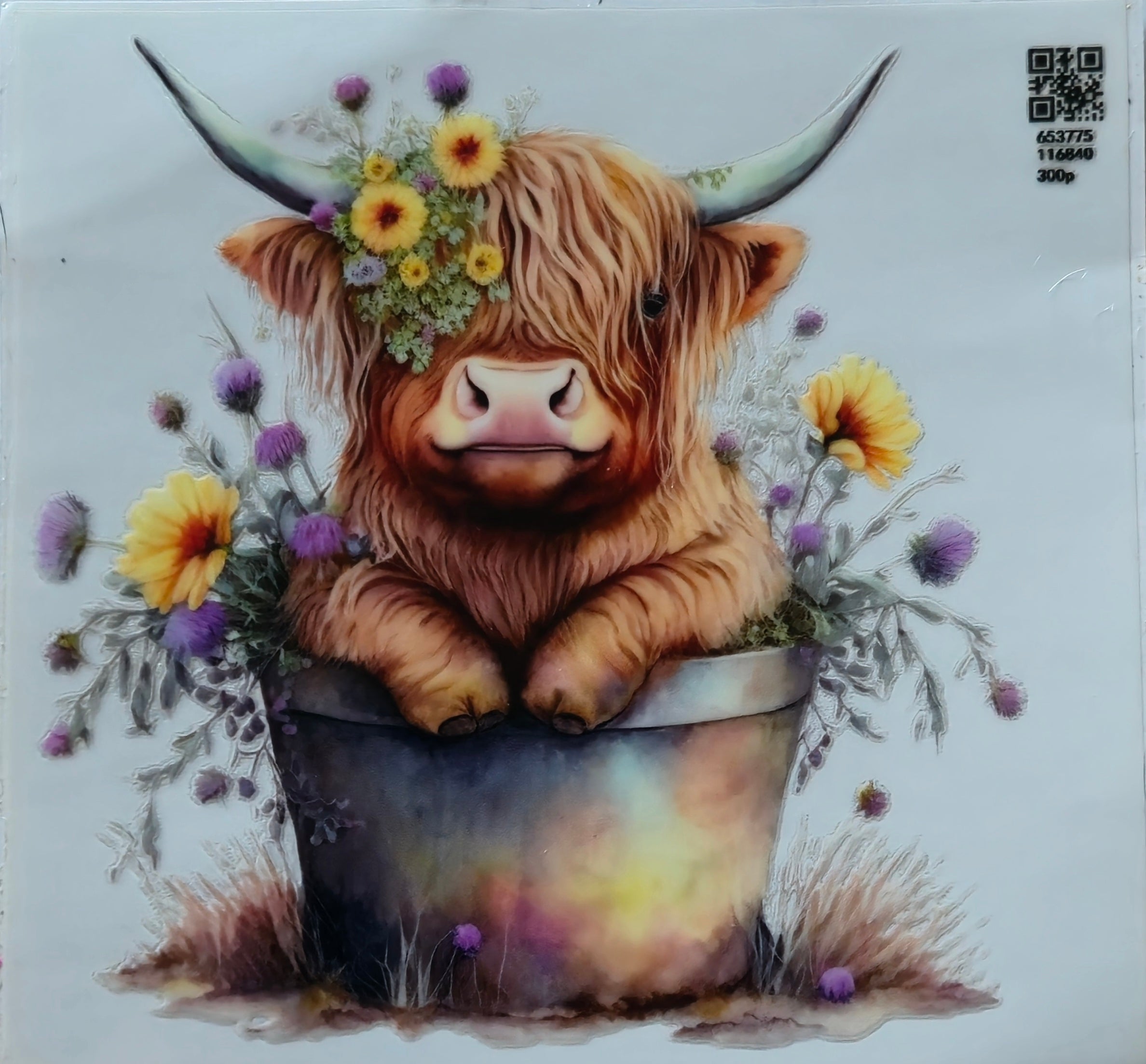 (308) Cow in bucket