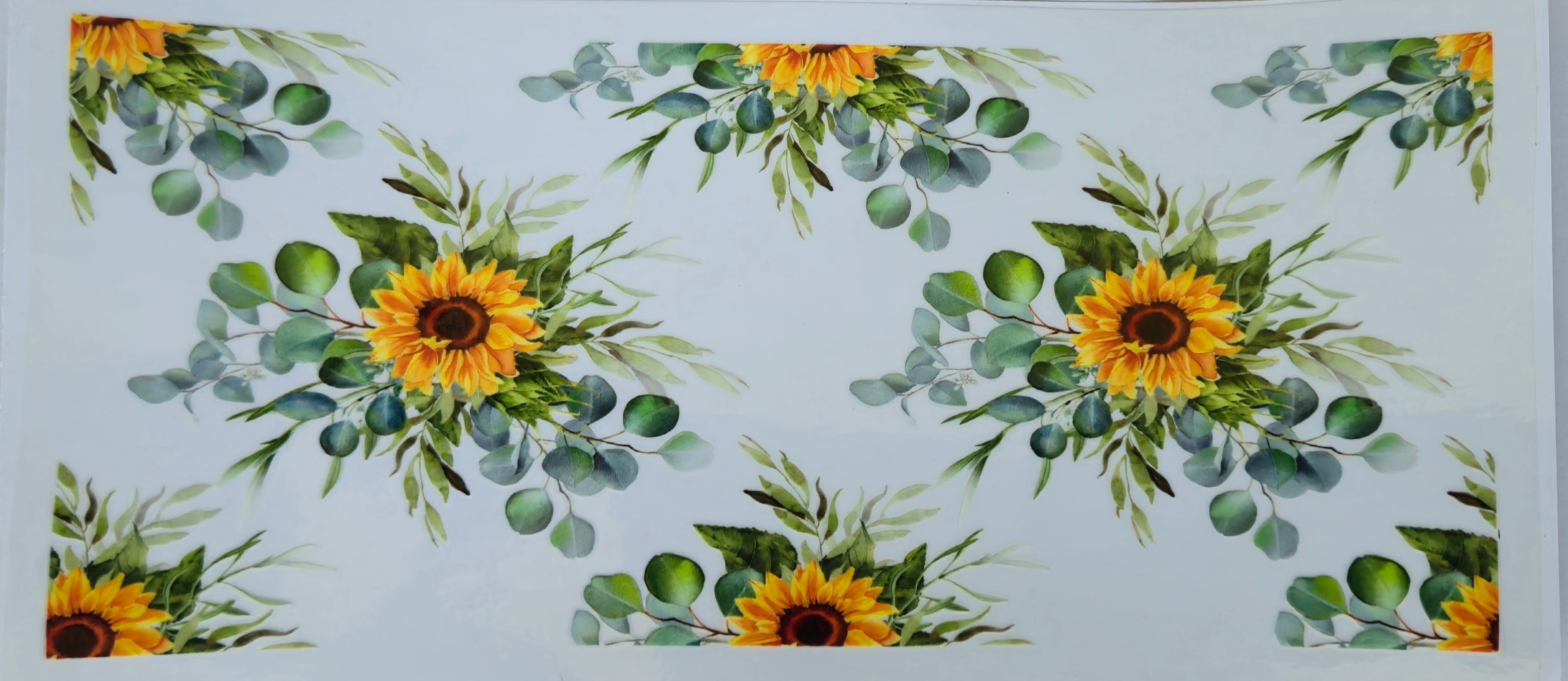(31) Sunflowers